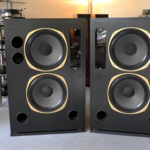 Tannoy FSM